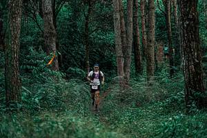 BIB: 
                            <button type="button" onclick="openModal(25237397)" class="btn btn-primary btn-sm float-right btn-popup" data-toggle="modal" data-target=".modal-high-quality">
                        <i class="fas fa-shopping-cart"></i> Add to Cart
                    </button>
                                            <button type="button" onclick="isThisMe(25237397, true)" class="btn btn-success btn-sm float-right btn-popup btn-isme hidden" data-toggle="tooltip" data-placement="bottom" title="นี่คือรูปของคุณใช่ไหม คลิกที่นี่เพื่อเอาเข้าอัลบั้ม">
                        <i class="fas fa-plus"></i> Add to album
                    </button>
                    <button type="button" onclick="isThisMe(25237397, false)" class="btn btn-warning btn-sm float-right btn-popup btn-isnotme hidden">
                        <i class="fas fa-ban"></i> Remove from album
                    </button>